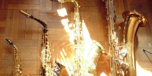 saxophone family